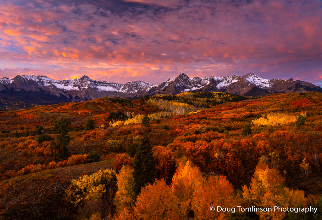 Autumn Glamour - 1588