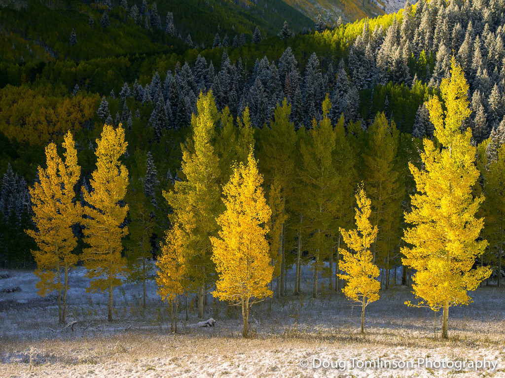 A Touch of Light - 1371