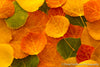 Aspen Leaves Autumn - 1576