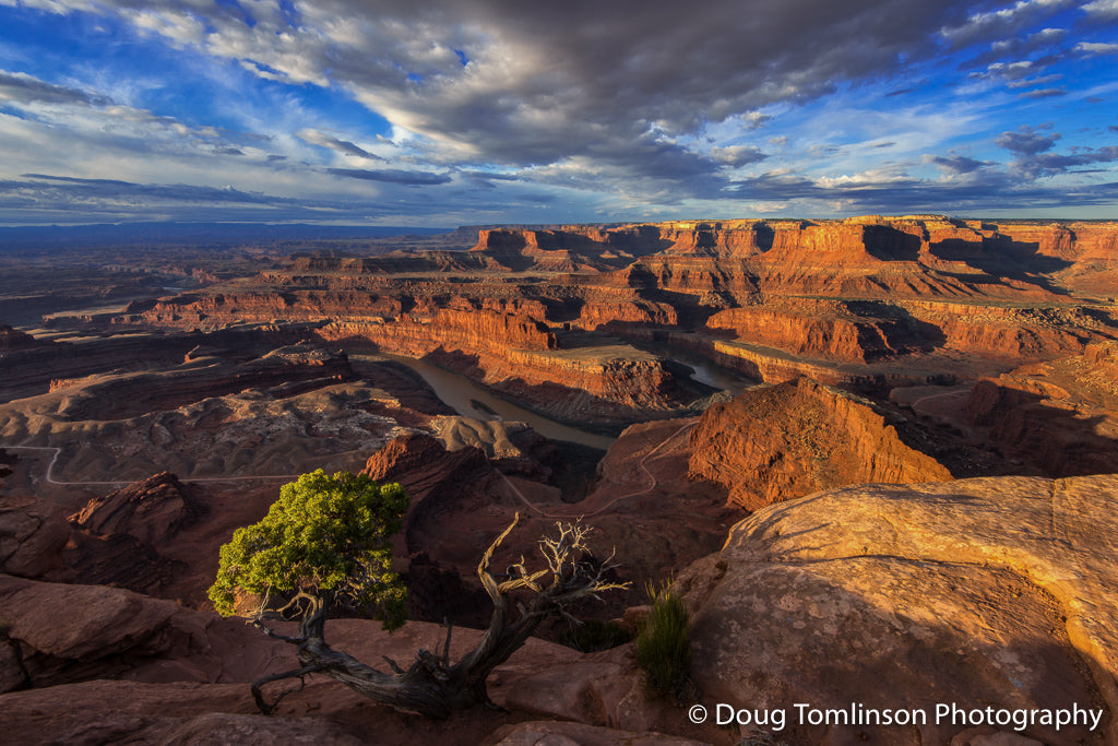 At the Desert Edge-1578