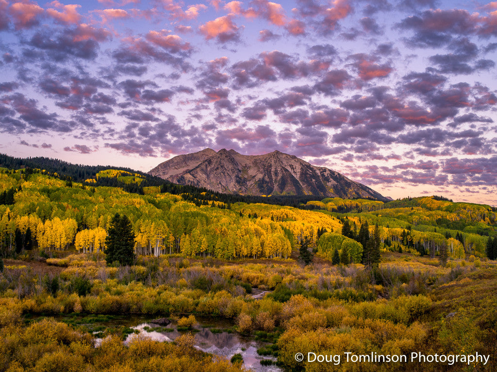 Autumn in the High Country - 1542