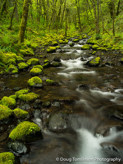 Cascading Creek - 1523