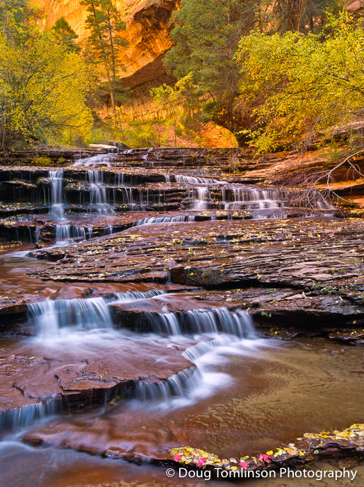 Cascading Falls - 1504