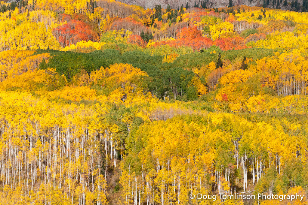 Changing Colors - 1340