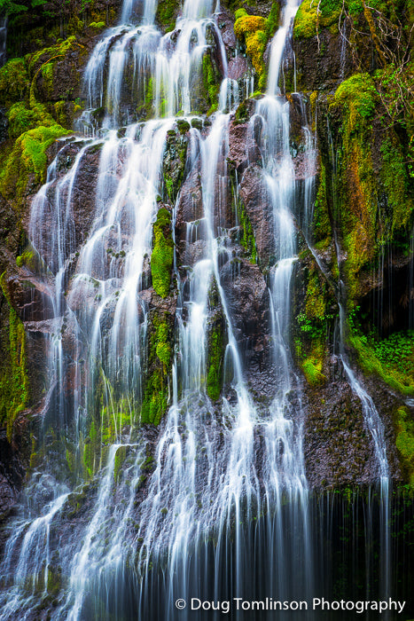 Color in the Falls - 1522