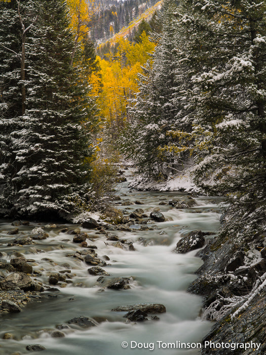 Crisp Morning on the Crystal River - 1377