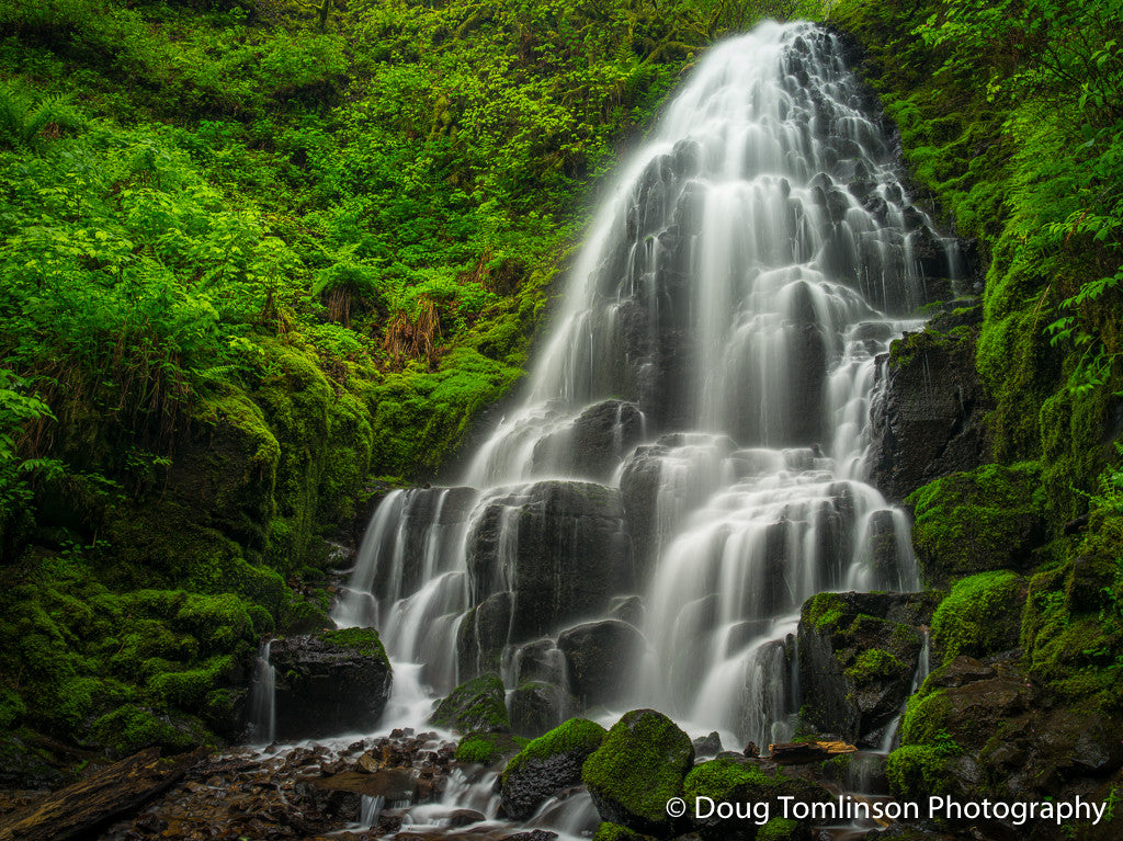 Fairy Falls - 1524