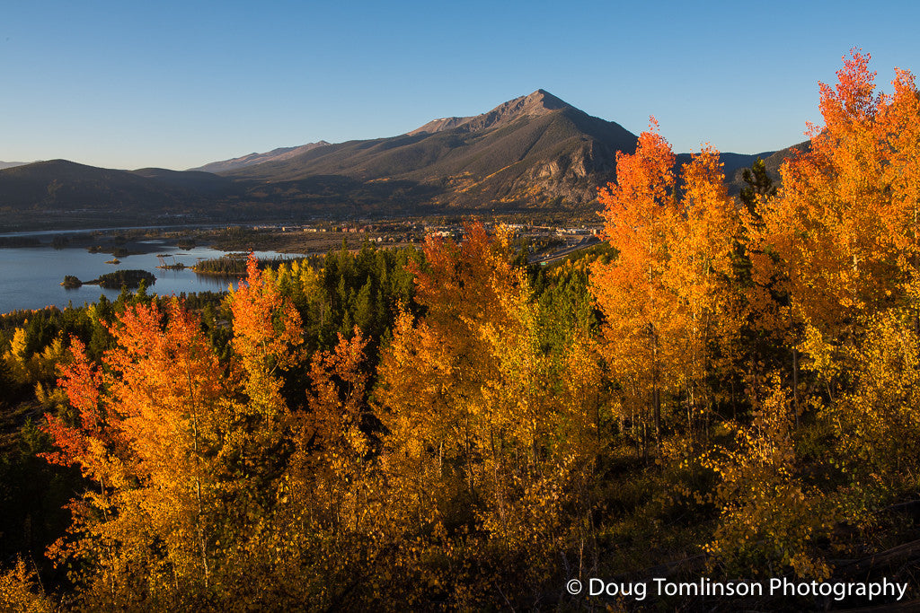 Fall Color Summit County - 1419