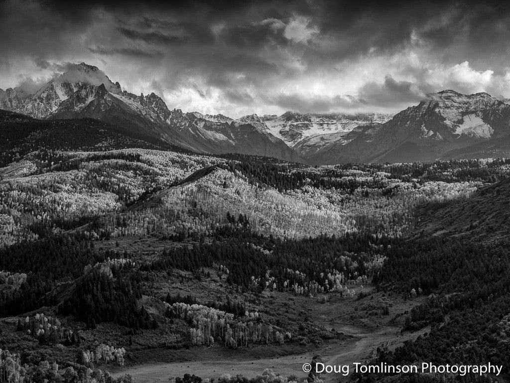 Fall Storm B&W - 1450