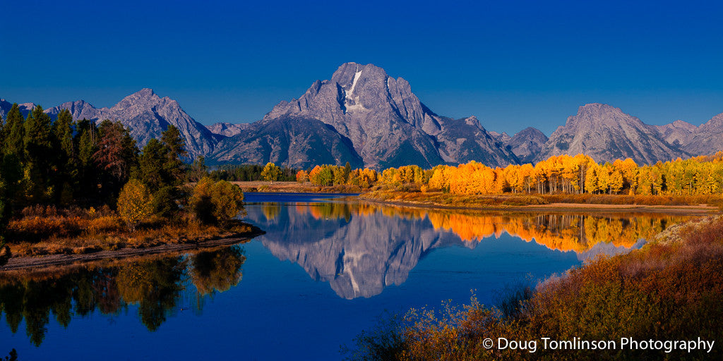 Fall on Oxbow Bend - 1330