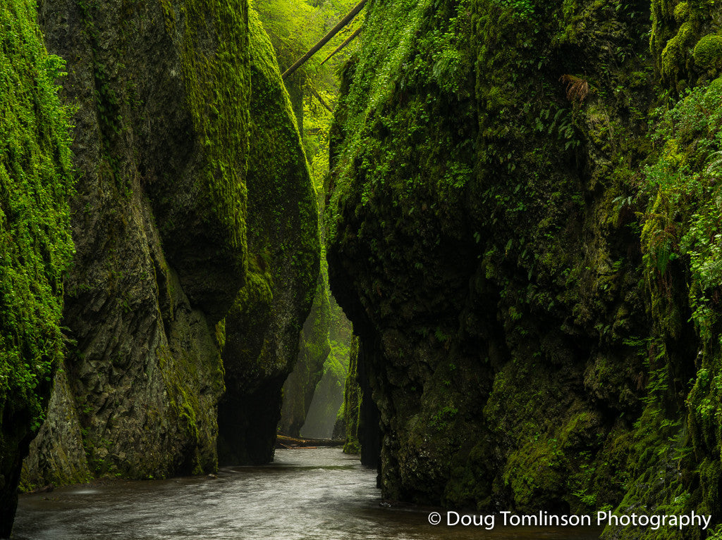 Fifty Shades of Green - 1526