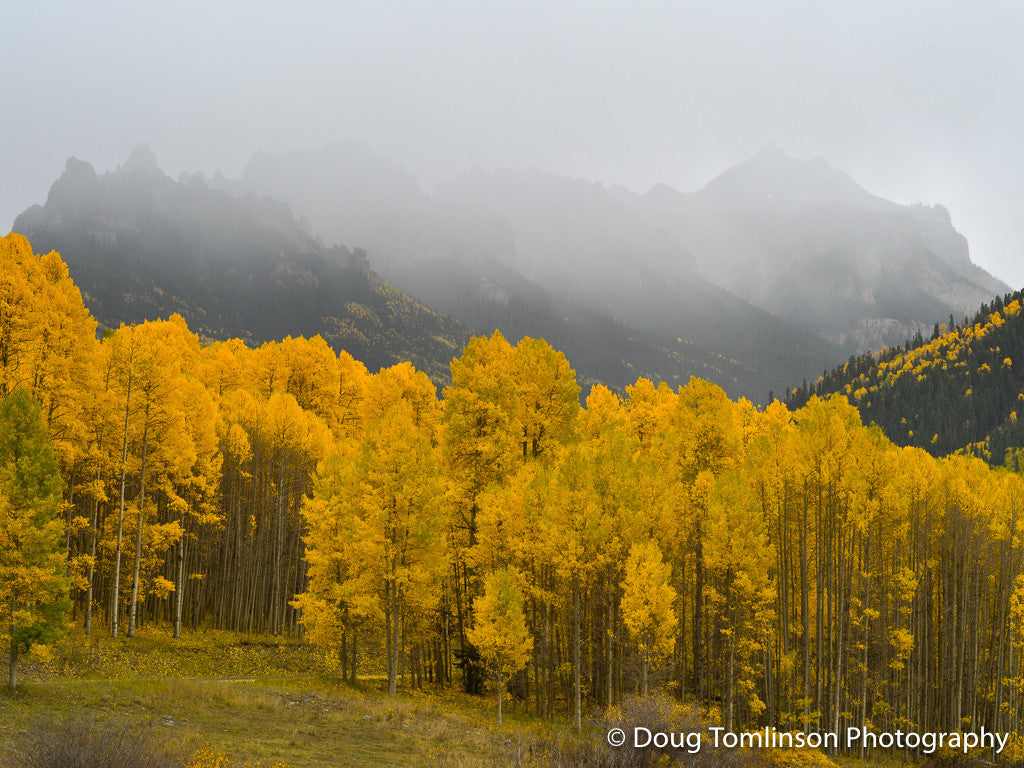 Foggy Autumn Evening - 1541