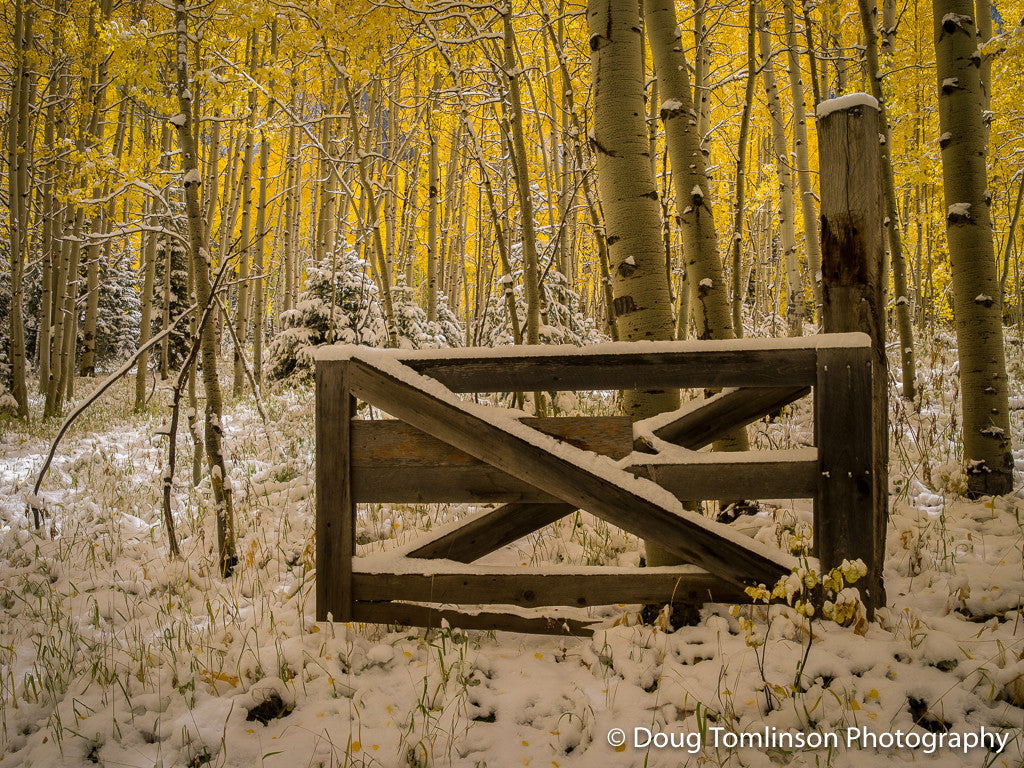 Gate to Autumn - 1375