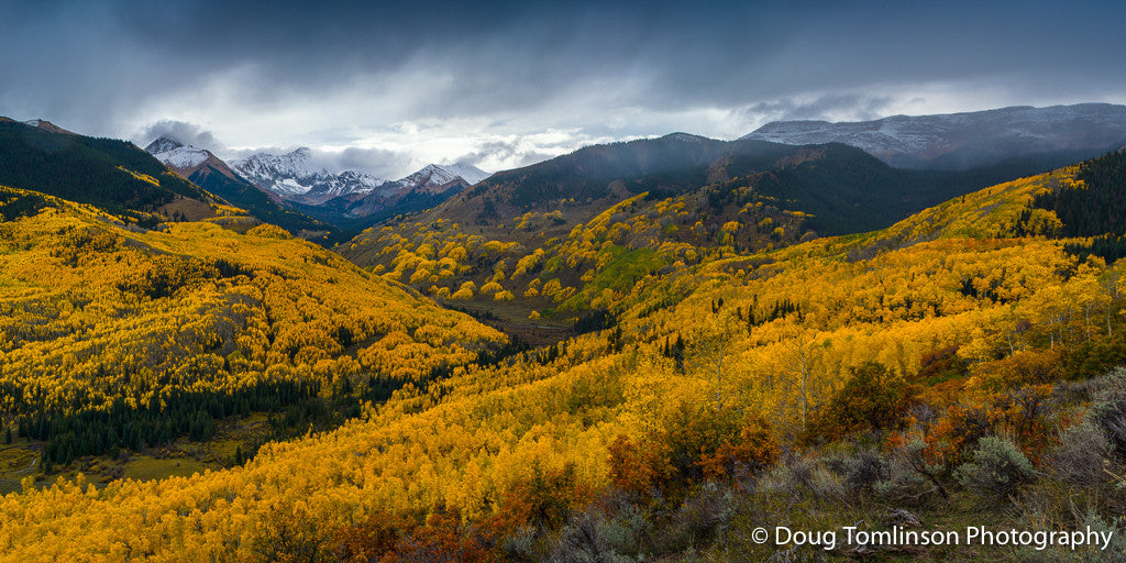 Golden Valley - 1535