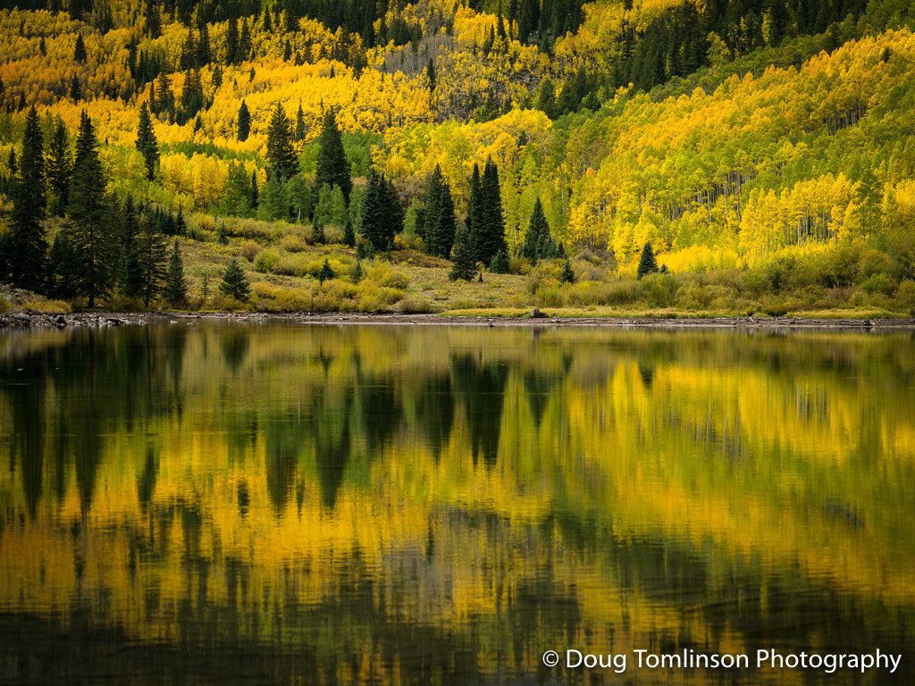 Grand Reflections - 1355