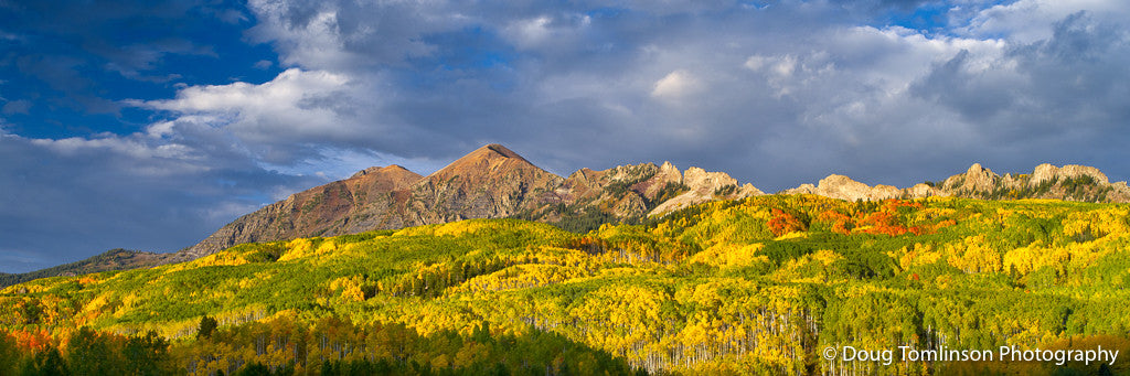 Kebler Pass Beauty - 1343