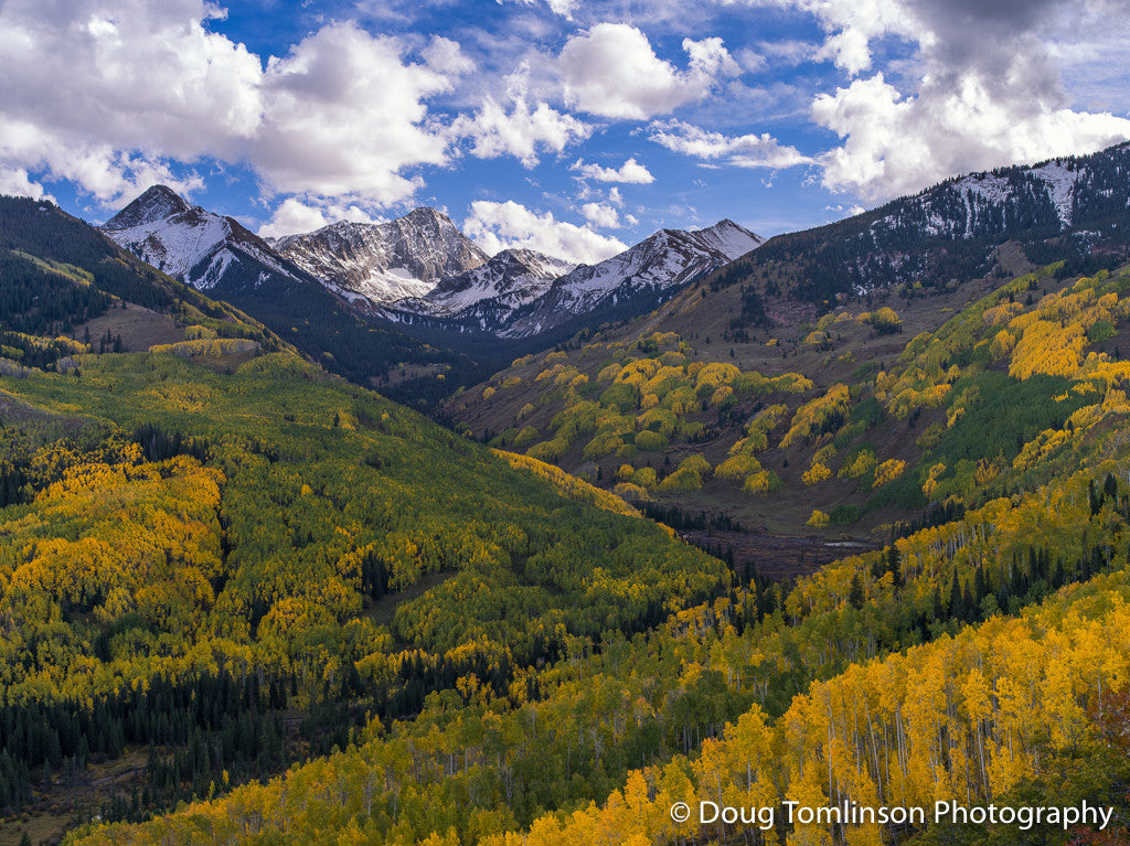 Majestic Capital Peak - 1372