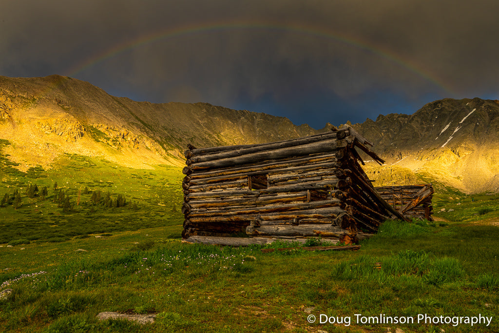 Mayflower Glory - 1568