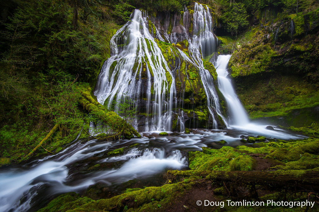 Mossy Panther Creek Falls - 1521