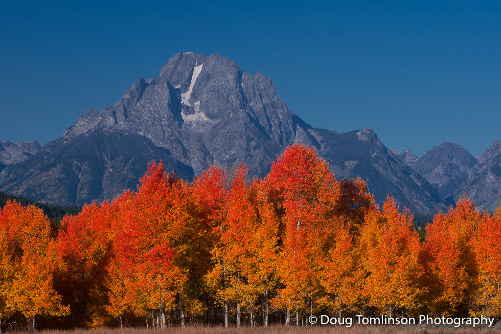 Mount Moran Fall - 1075