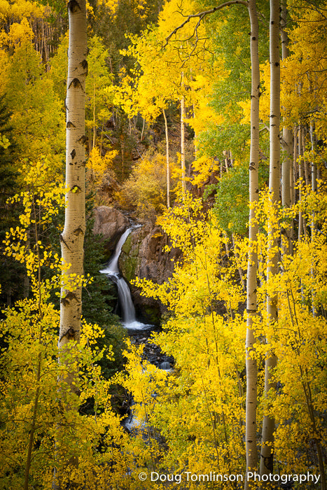 Nellie Creek Falls - 1565