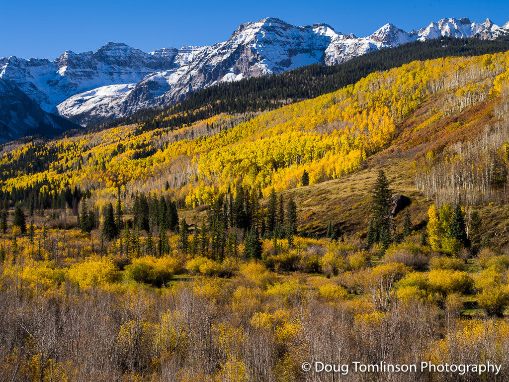 October Color - 1393