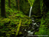 Peaceful Mossy Grotto - 1534