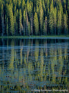 Piney Lake Reflection - 1547