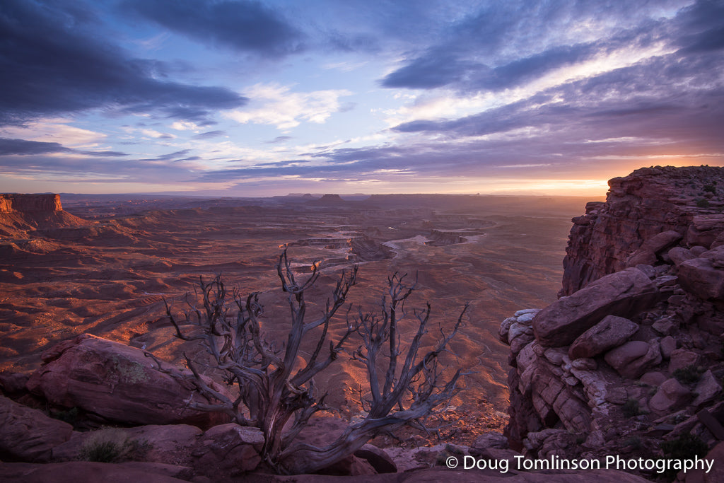 Pinon Overlook - 1579