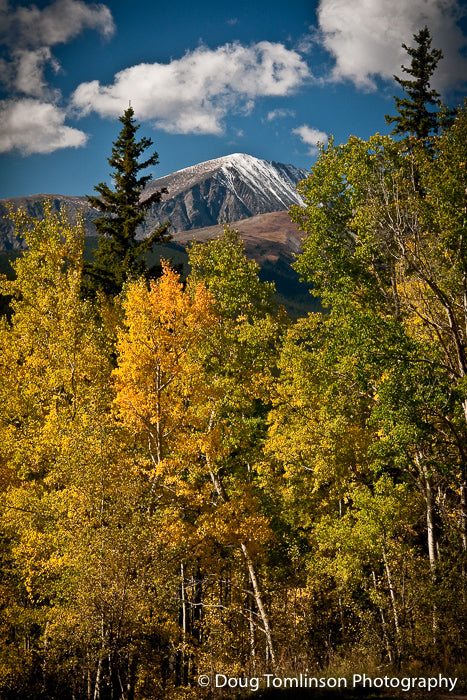 Quandary Peak Changing Seasons - 1007