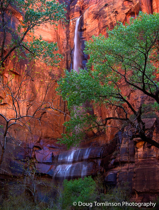Rare Zion Waterfall - 1054