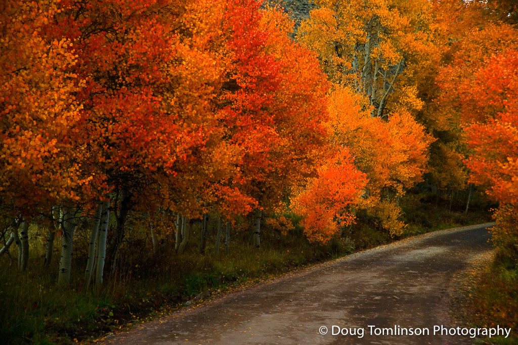 Red Road of Fire - 1059