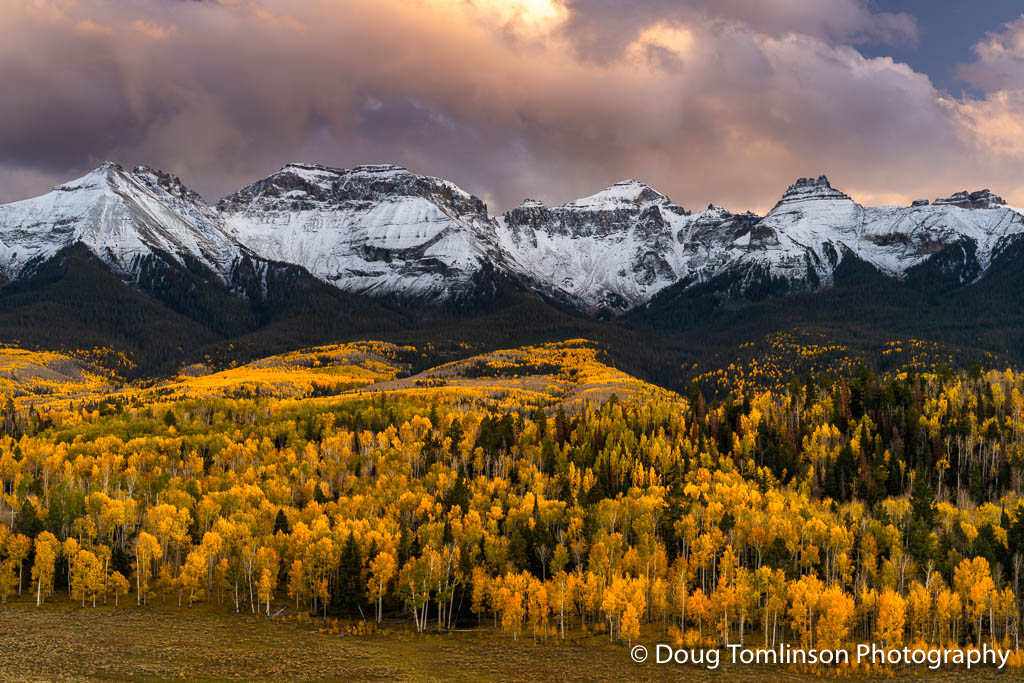 San Juan Artistry - 1587