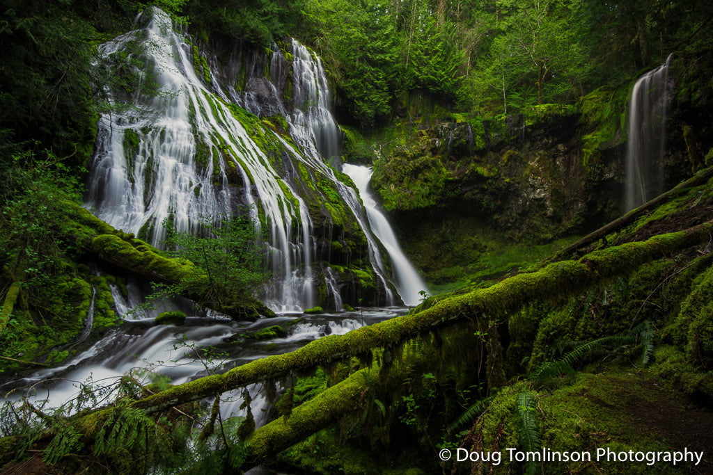 Spectacular Panther Creek Falls - 1530