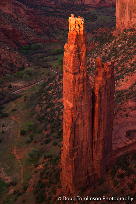 Spider Rock - 1329