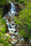 Spring Waterfall - 1352