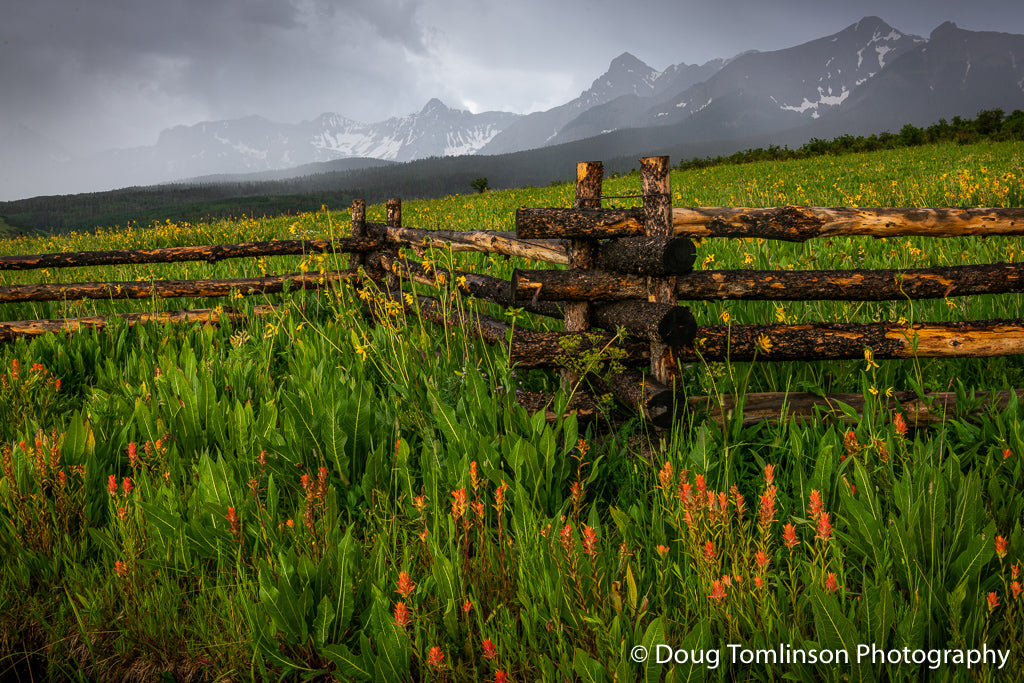 Stormy Meadow - 1556