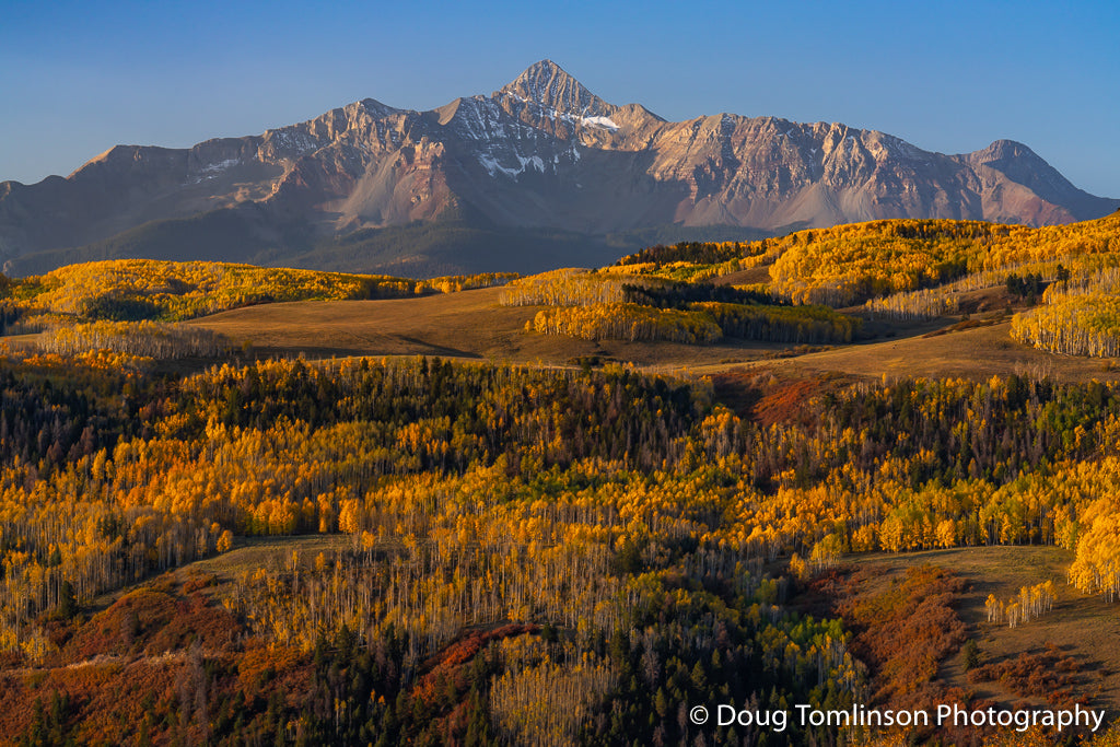Telluride Gold - 1575