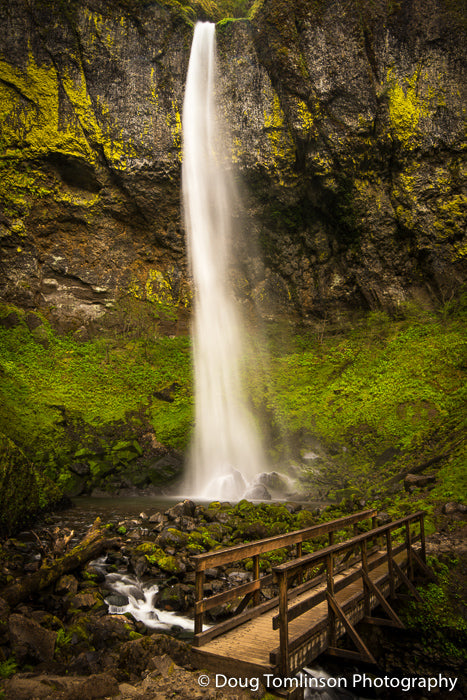 The Bridge to Elowah Falls - 1519