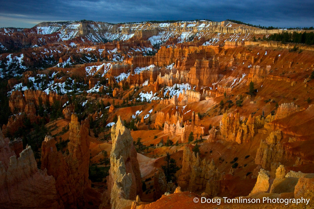 Winter in Bryce - 1260