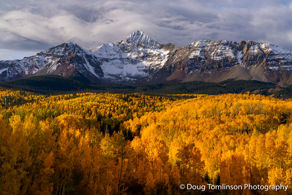 Wilson Peak Gold -1593