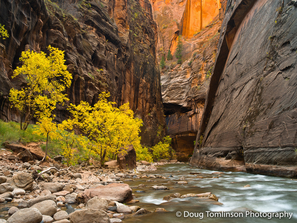 Zion Narrows - 1462