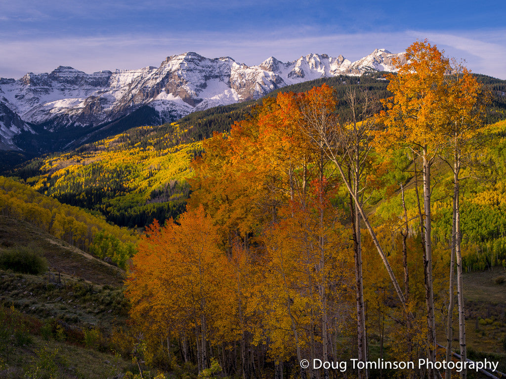 kaleidoscope of Fall - 1384